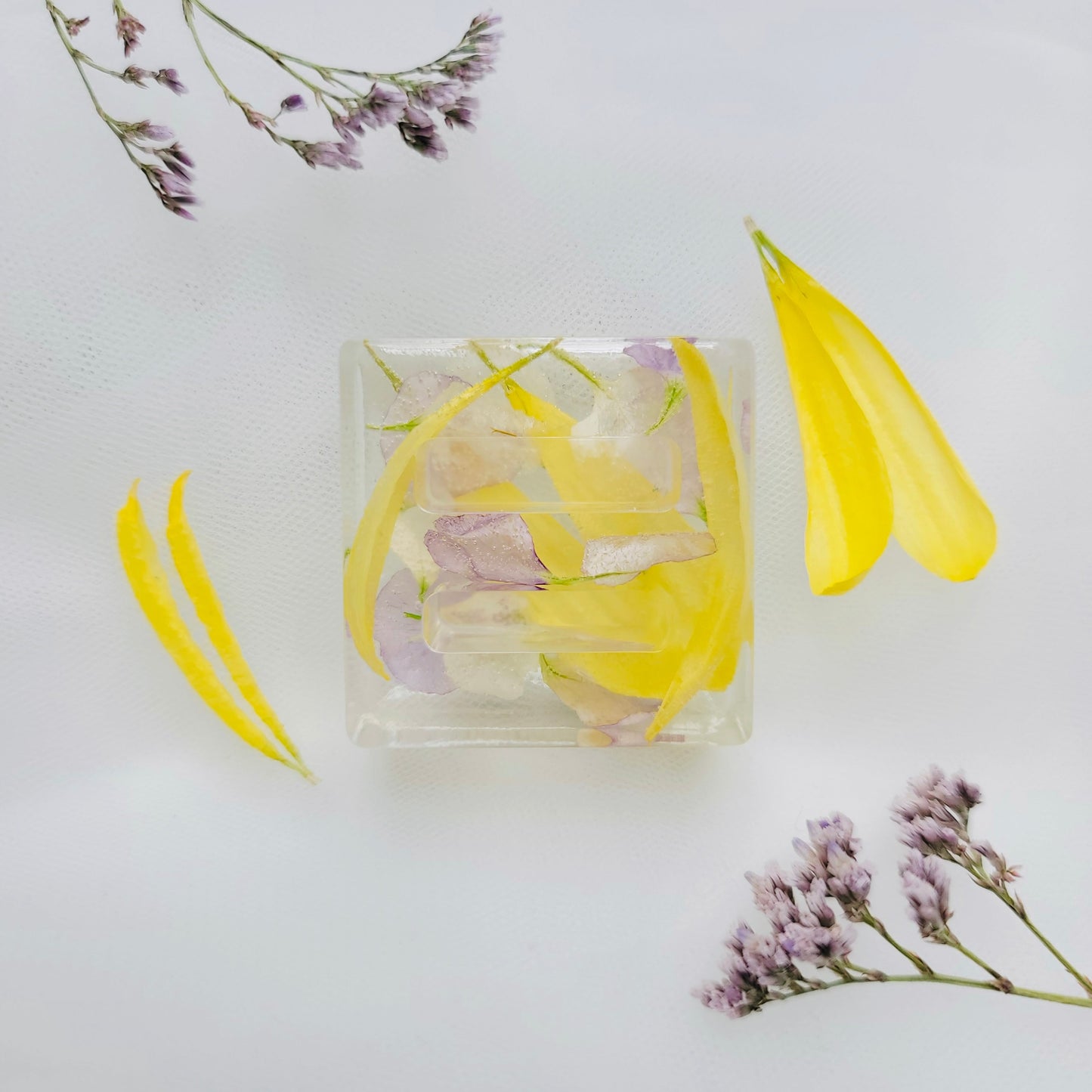 Double Slot Ring Holder